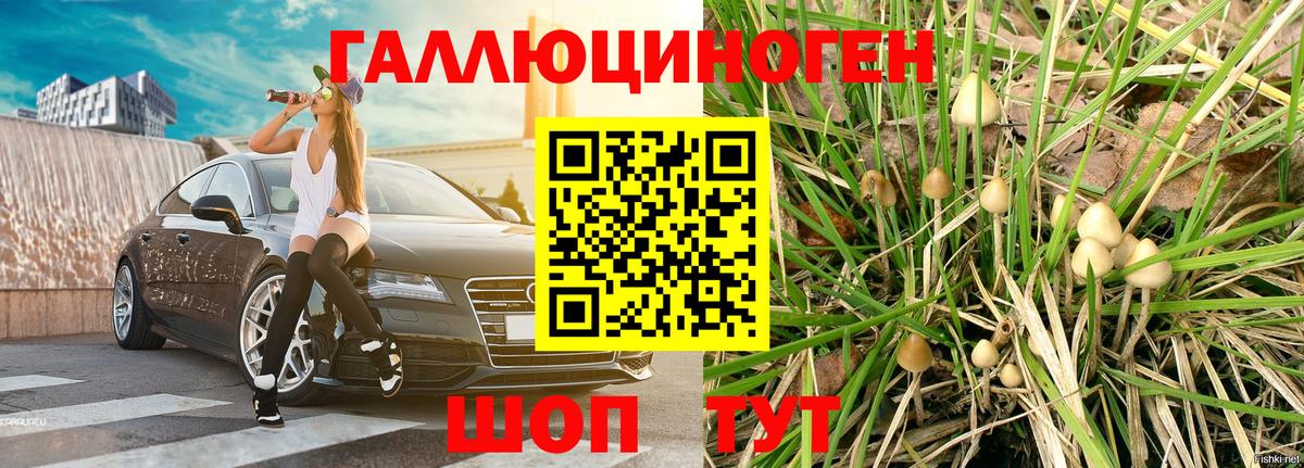 Псилоцибиновые грибы ЛСД Усть-Илимск